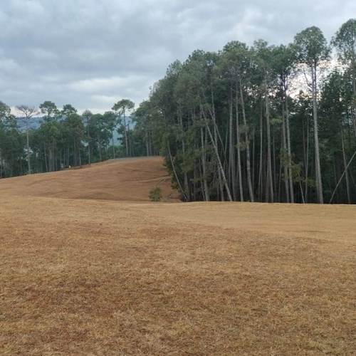 Golf Ground Ranikhet